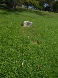 image of grave number 761252